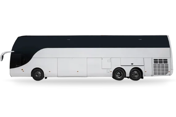Coach ou équivalent